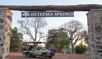 Deteema Springs Camp: Tor