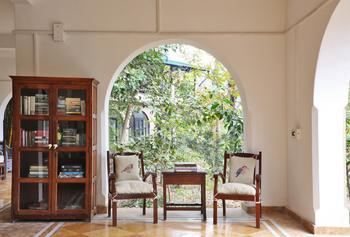 Jim's Jungle Retreat: Library