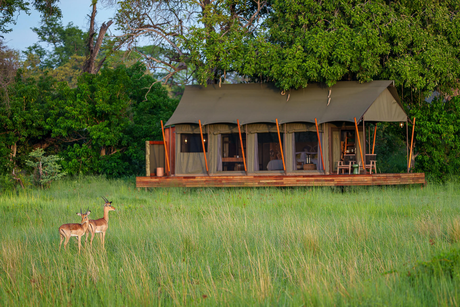 Karangoma Camp Karangoma Camp: Zelt am Waldrand