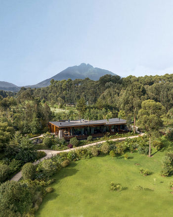 One and Only Gorilla's Nest: Unterkunft am Wald