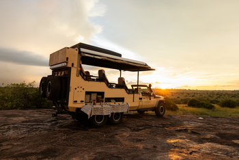 Serengeti Bushtops: The Beest