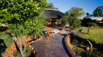 Waterberg Guest Farm: Weg durch den Garten