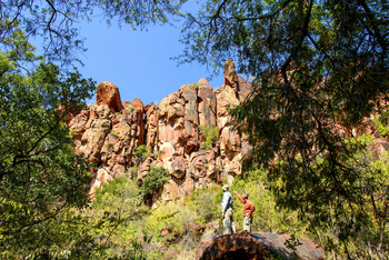 Waterberg Plateau Lodge Waterberg Plateau Lodge: Nature Trail
