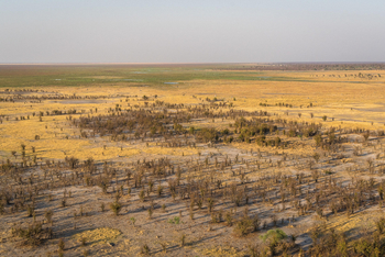 Mokete Camp: Randzone Mababwe Depression