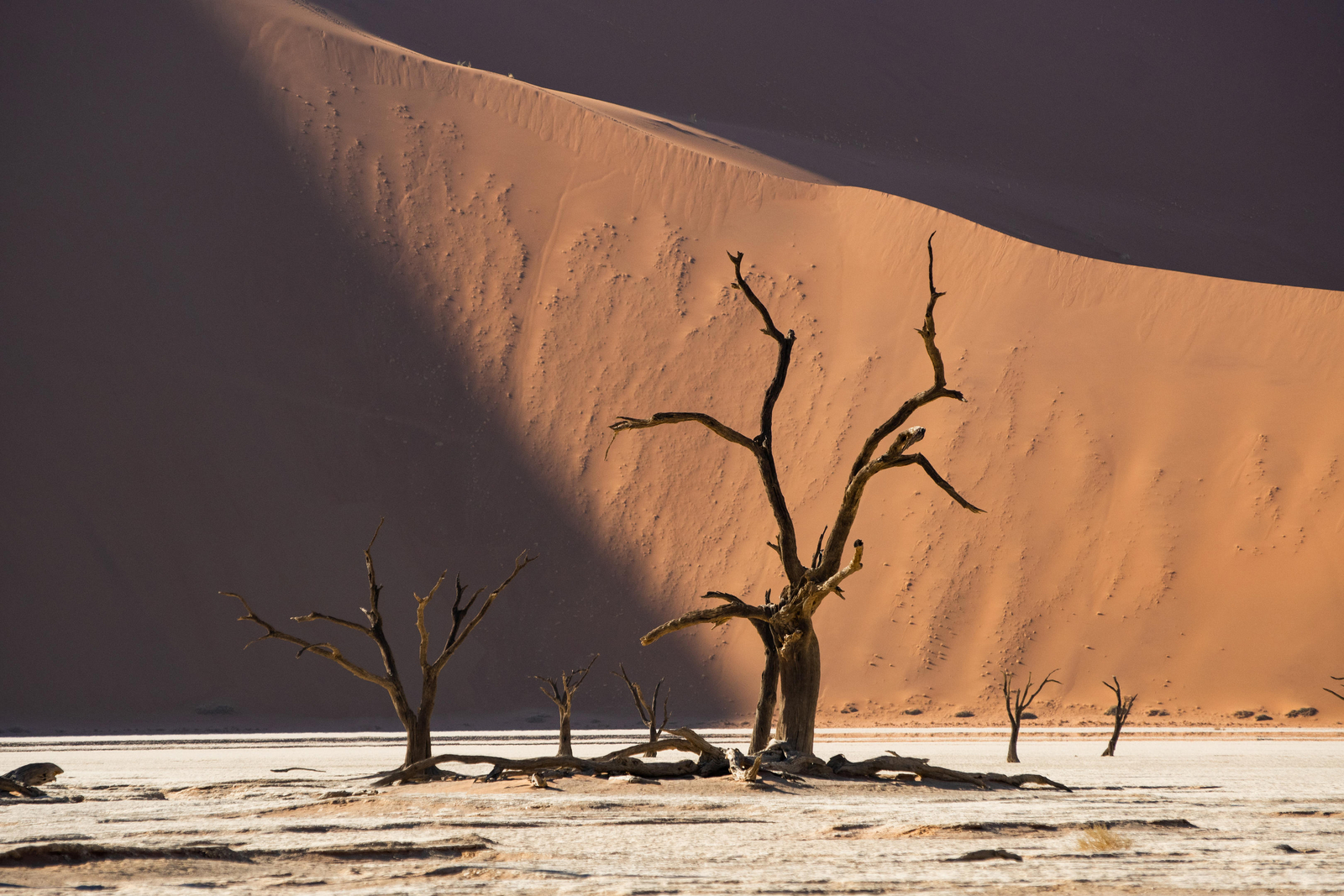 Camp Sossus Camp Sossus: Sossusvlei