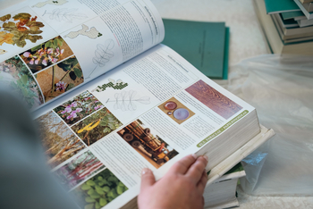 Gorongosa Safaris: Buch im Wilson Lab