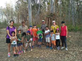 Jim's Jungle Retreat: Termite Walk