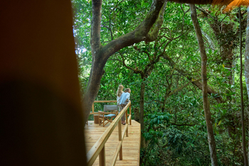 Koroi Forest Camp: Hauptbereich im Camp