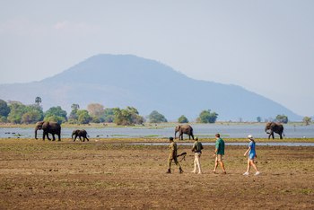 Kuthengo Camp: Walking Safari