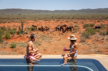 Madikwe Hills Private Game Lodge: Blick aus dem Pool