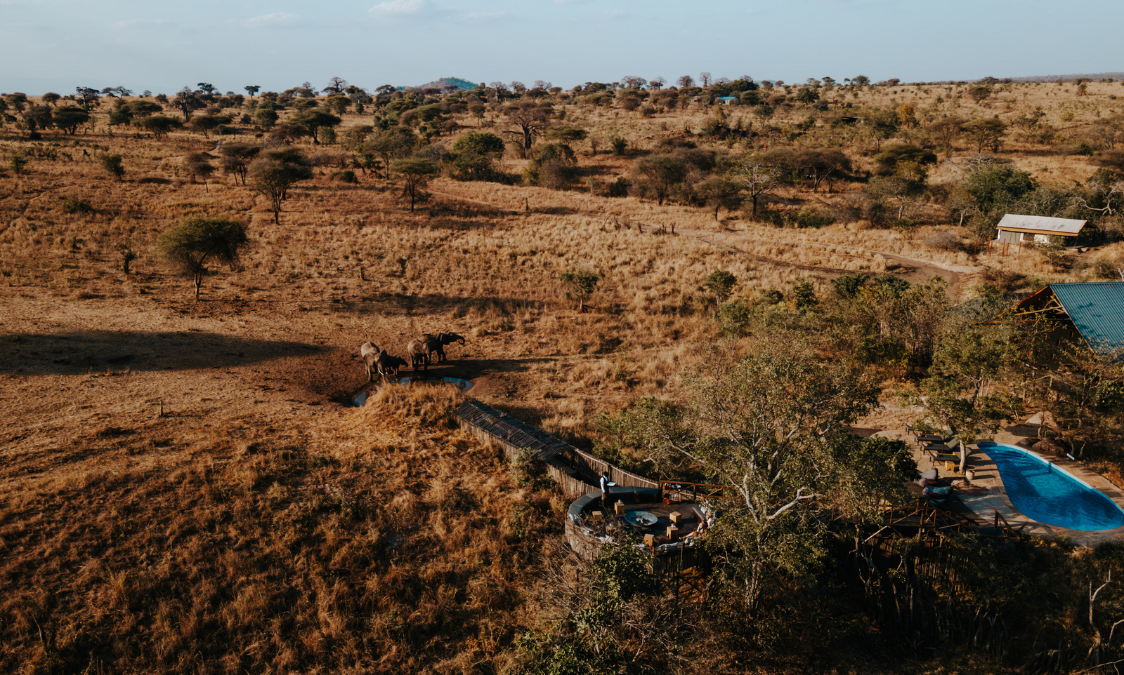 Nimali Tarangire Camp Nimali Tarangire Camp: Pool und Boma