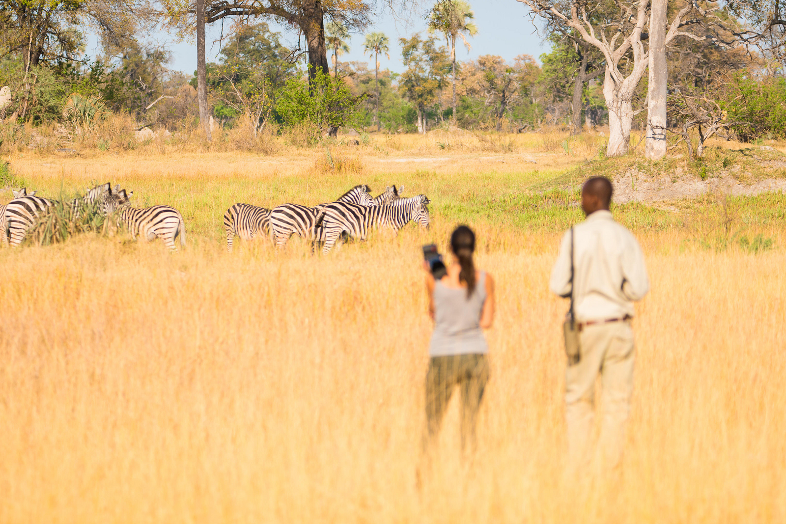 Oddballs' Camp Oddballs' Camp