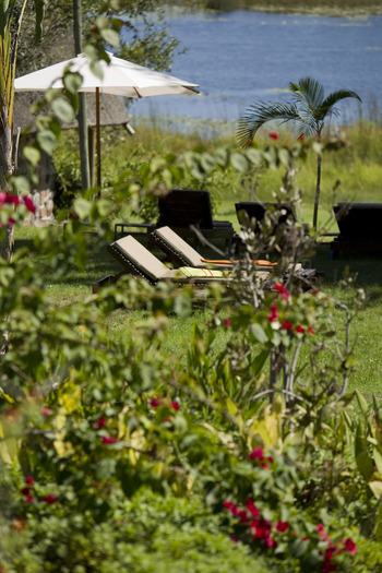 Thamalakane River Lodge: Garten