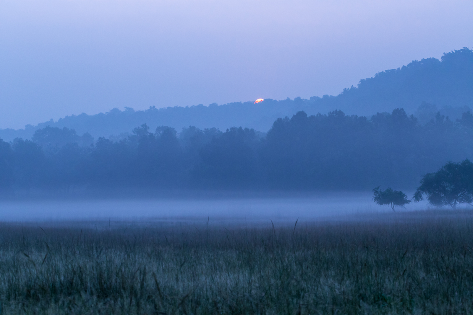 Bandhavgarh Jungle Lodge Bandhavgarh Jungle Lodge: Sonne im Morgendunst