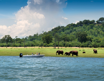 Bumi Hills Safari Lodge: Boot und Elefanten am Fluss