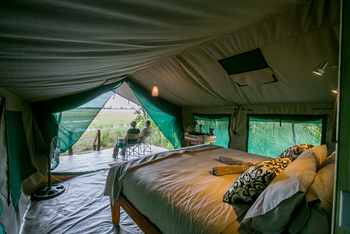 Bushman Plains Camp: Geöffnetes Zelt