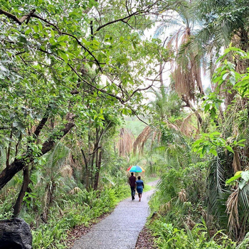 Chundukwa River Lodge: Viktoria-Fälle
