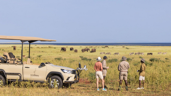 Fothergill Island: Game Drive