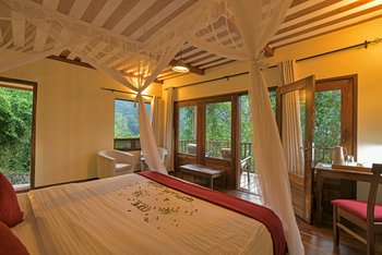Four Gorillas Lodge: Begrüßung im Zimmer