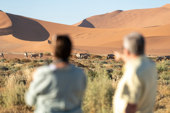 Hoodia Desert Lodge: Oryxherde