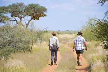 Kalahari Red Dunes Lodge: Walking Safari