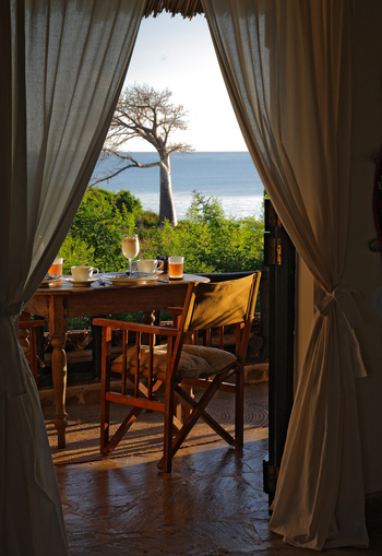 Kinondo Kwetu Kinondo Kwetu: Baobab vor dem Cottage