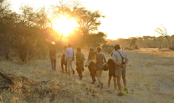 Meno A Kwena Camp Meno A Kwena Camp: Geführter Bush walk