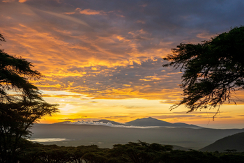 Ngorongoro Lion's Paw: Vulkane in den Ngorongoro Highlands