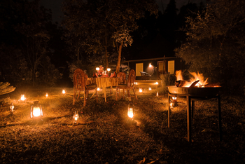 Pench Jungle Camp: Barbeque Night