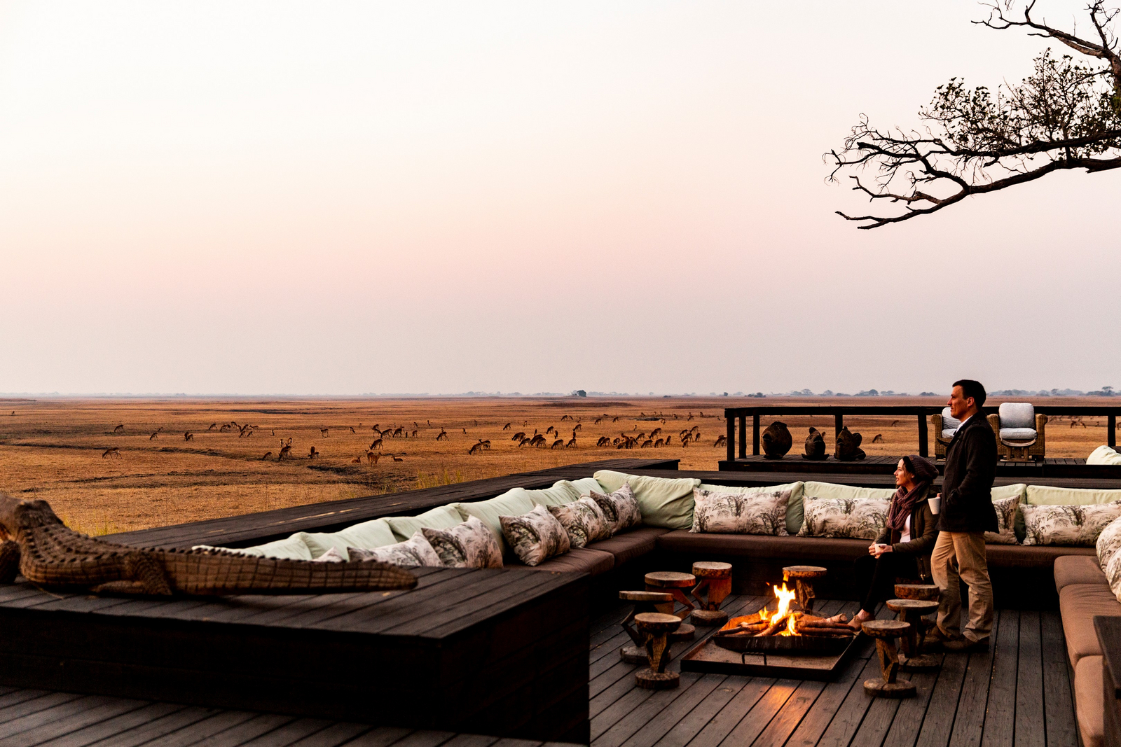 Shumba Camp Shumba Camp: Tiere auf den Plains