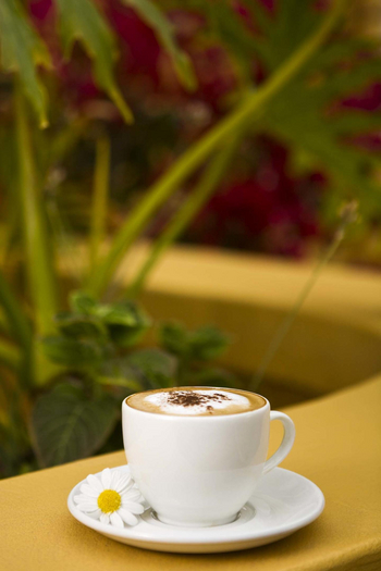 Villa Margherita: Kaffeetasse