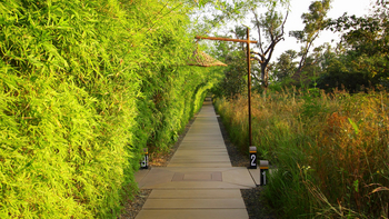 Bagh Villas: Weg durchs Gelände