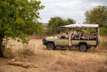 Ikuka Safari Camp: Game Drive