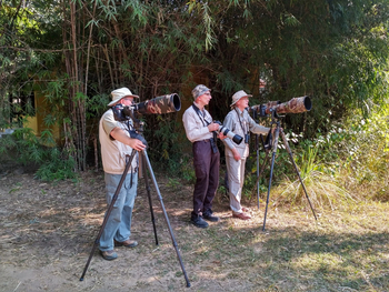 Jim's Jungle Retreat: Butterfly Walk