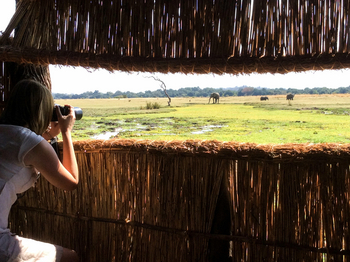 Kafunta River Lodge: Photographic Hide