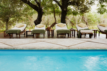 Laba Siwandu Camp: Liegestühle