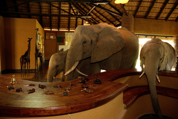 Mfuwe Lodge: Elefanten in der Lobby