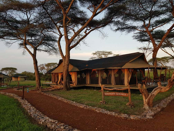 Ole Serai Camp Turner Springs: Serengeti Lounge
