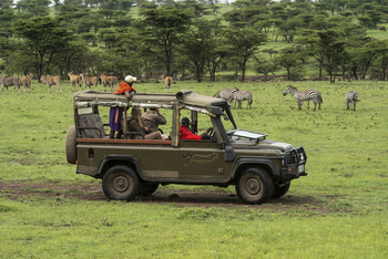 Richard's River Camp: Game Drive