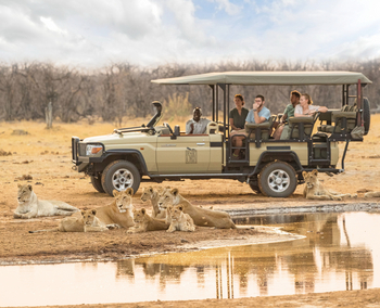 Savute Safari Lodge: Game Drive - Löwenfamilie