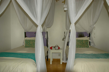 The Old House: Twin Room