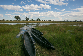 Bushman Plains Camp: Flaches Wasser für den Mokoro-Einstieg