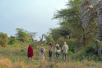 Chem Chem Lodge: Walking Safari