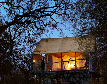 Chikoko Tree Camp: Treehouse - Moskitonetz