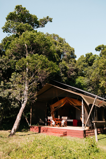Elewana Elephant Pepper Camp Elewana Elephant Pepper Camp: Blick auf ein Zelt