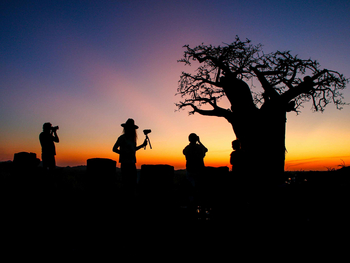 Koro River Camp: Ambitionierte Fotografen