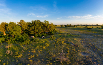 Beagle Expeditions: Gästezelt vor dem Galeriewald