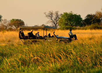 Lagoon Camp Lagoon Camp: Game Drive