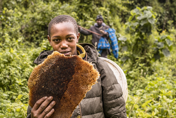 Loldia House: Eburu Forest