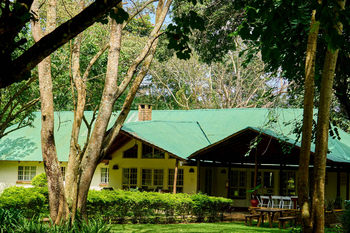 Moivaro Lodge: Veranda mit Holzbank und Pflanzen im Sonnenlicht